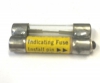 GLD-20 Fast-Acting 20A Abaloy-Plated Pin Indicating fuse