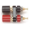 2440-0 Mini Binding Post