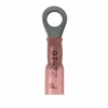 PH18-10R-Q 25Pk 22-18 awg #10 Stud Ring HS Terminals