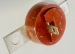 detail_31348_IMG_0653.jpeg
